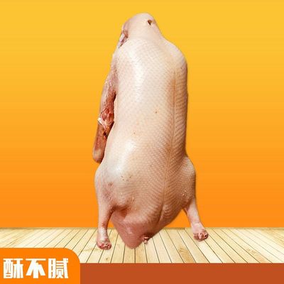 厂家出售 北京填鸭 大董酥不腻鸭胚 鸭坯干净卫生 可批发|ms