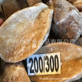 黄金鲍 鲍螺 黄金澳鲍 三去黄金鲍螺 木瓜鲍酒店特色食材 18KG/箱