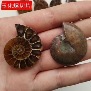 ��Ȼ������Ƭ�߲��ݻ�ʯ�[��diy����������������̌W�˱�