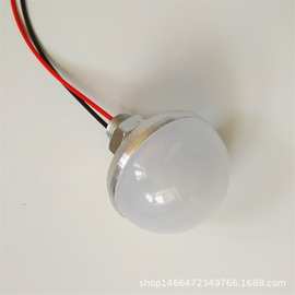 工厂家定制LED球泡点光源 12V镜前灯工艺装饰跑马 广告灯
