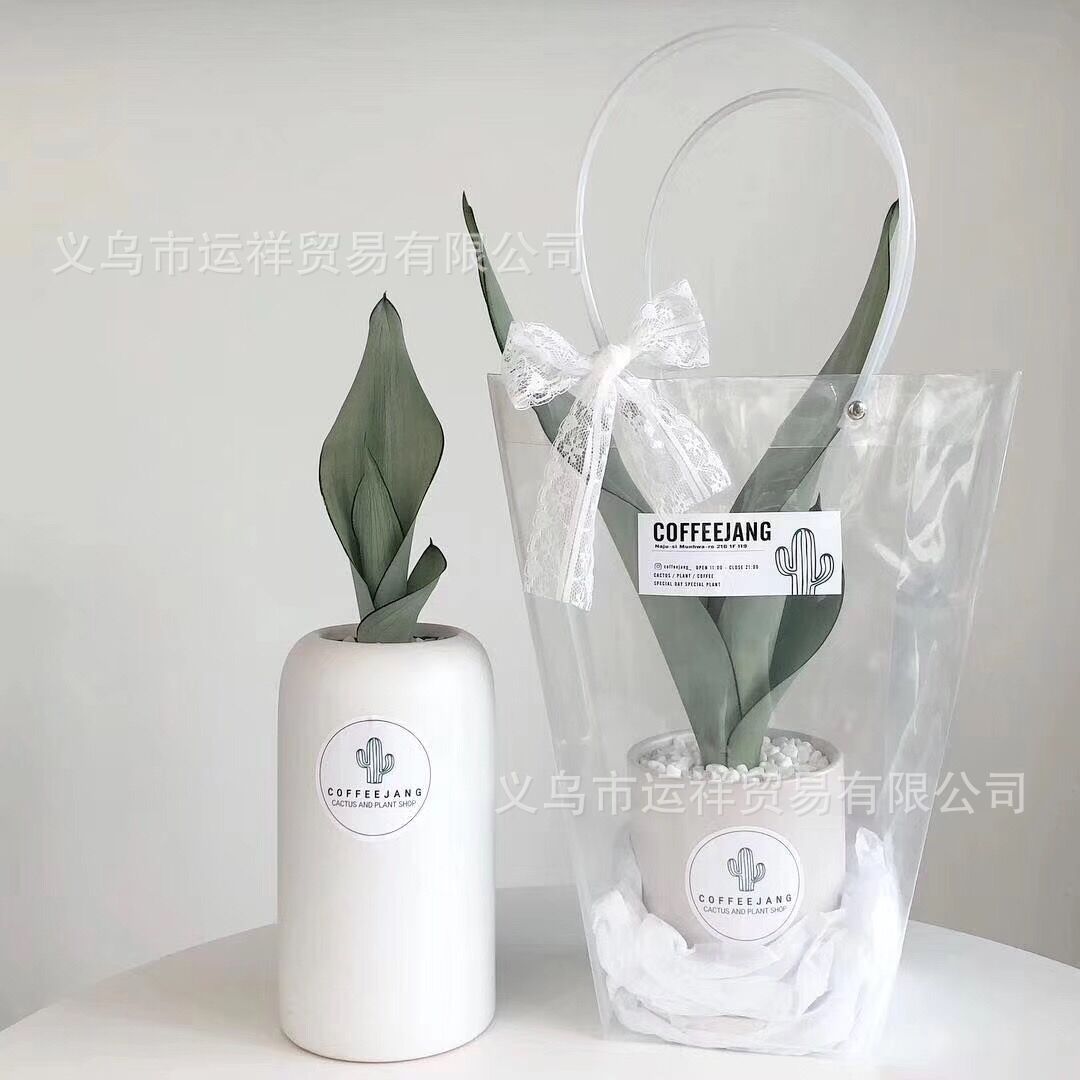 透明盆栽盆景月饼蛋糕礼品袋 迷你手提正方形多肉塑料包装送礼袋