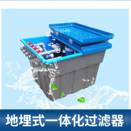 地埋箱泳池过滤清洁净化砂缸水泵一体机占地小