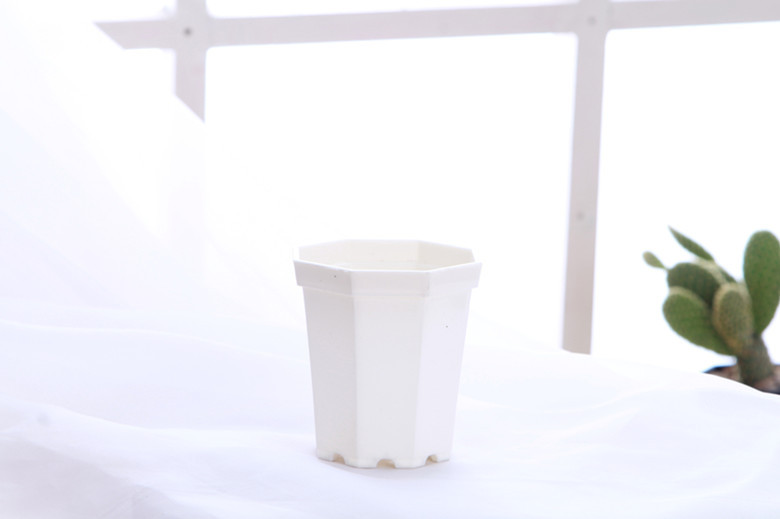 IMG_4729_����