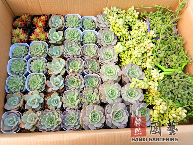 微信图片_20180130111551