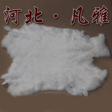 凡雅 加工整皮獭兔褥子现货批发定做染色獭兔皮草衣服