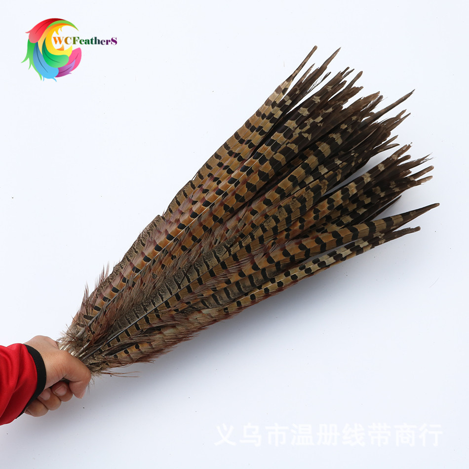 温册羽毛 厂家直销15-65cm天然山鸡尾七彩山鸡舞台演出剧组专用详情图7