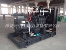 CHP����a��Ȼ��l늙C�M������� ȼ����Ȼ��l늙C250kw