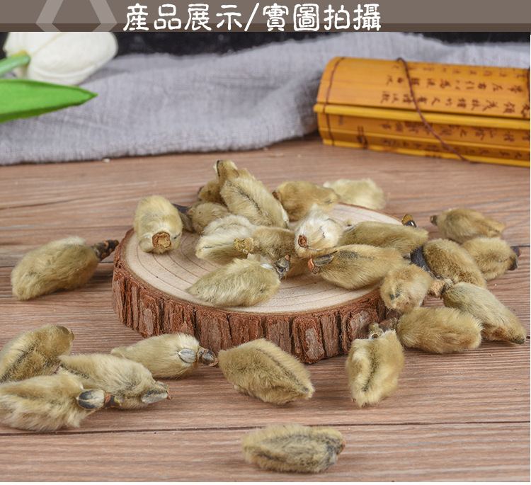 Xin Yi Hua (Magnolia biondii) — Dried Magnolia Flower Buds, Food-Herb for Tea & Soup overview