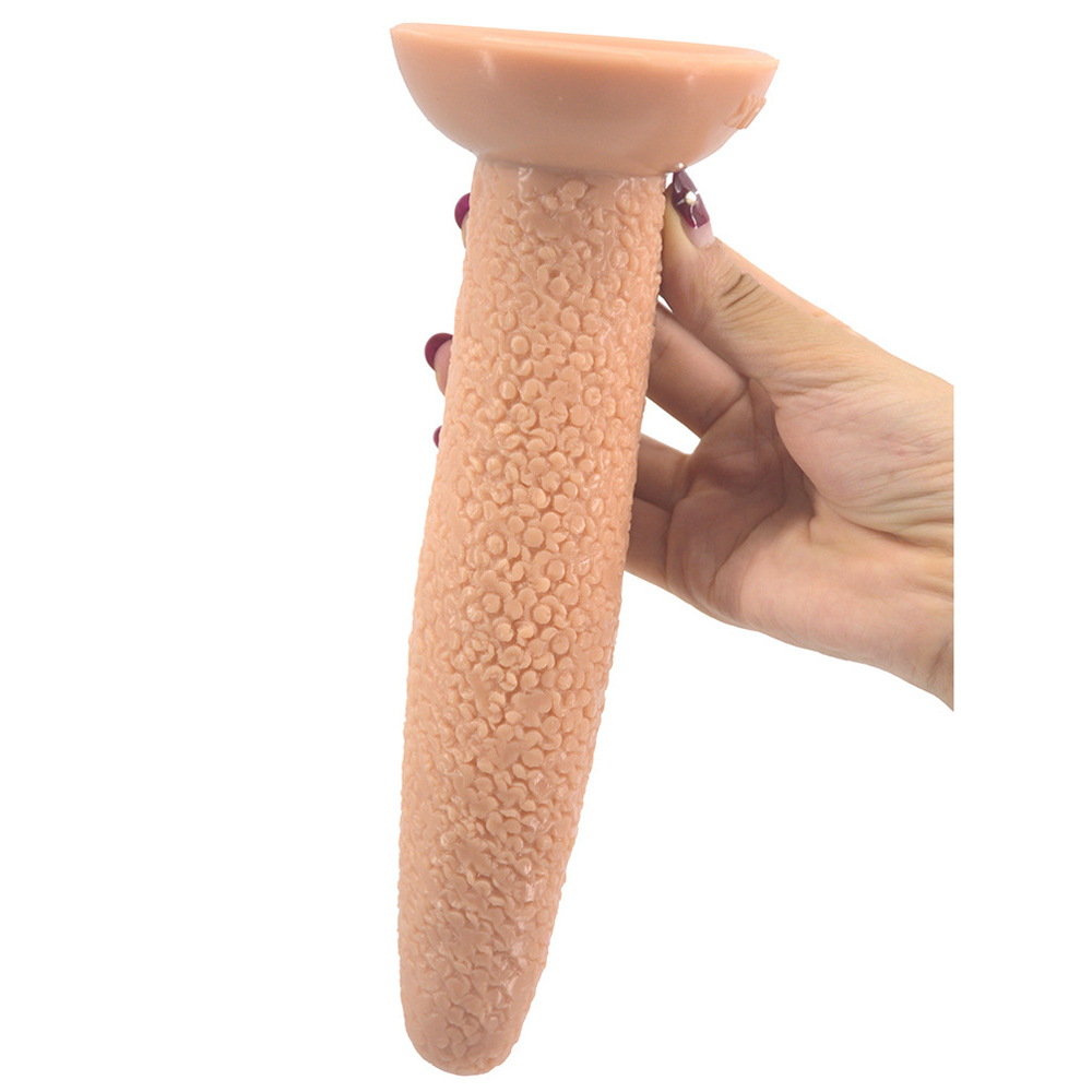 Anal Plug Image 4