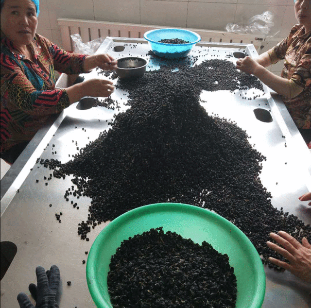 18 hàng mới Nhà sản xuất hộp đen Qinghai 500g số lượng lớn bán buôn / OEM OEM chế biến số lượng lớn wolfberry