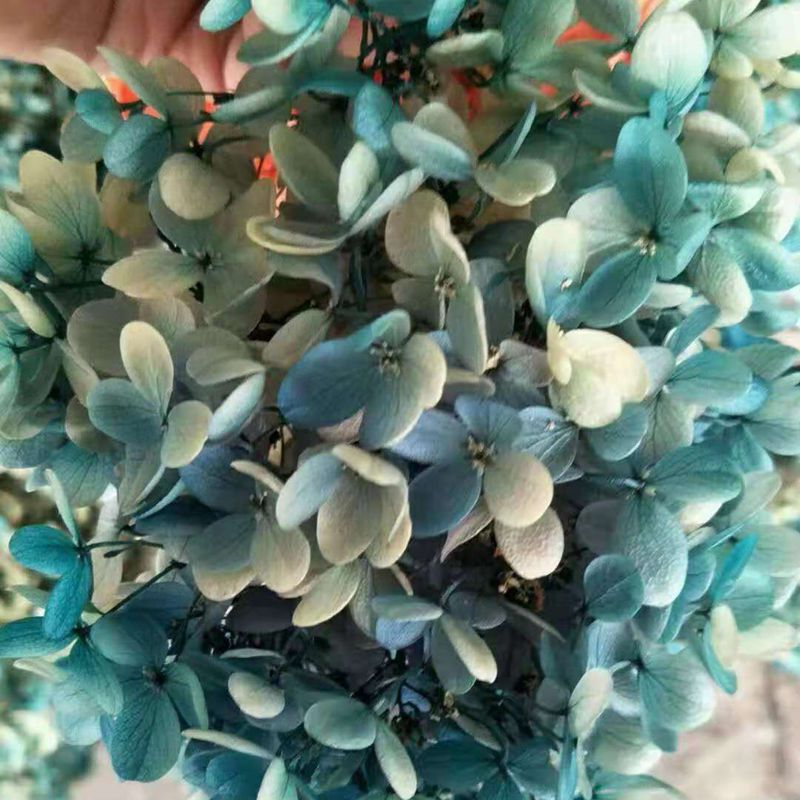 微信图片_20181126141558_副本