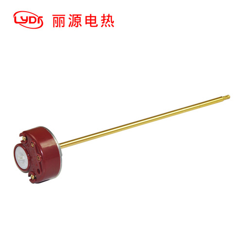 220V 1500W Ariston Water Heater, Copper Heating Element with Temperature Controller, Adjustable Heating Tube Temperature