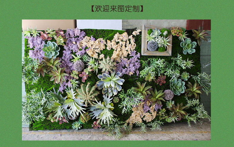 植物墙-多肉详情页_04.jpg