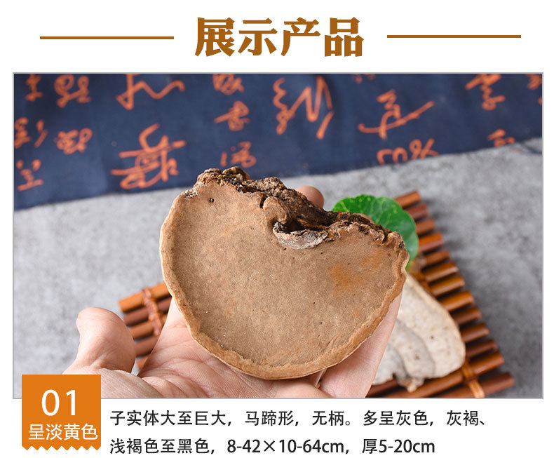 Mu Ti (Fomitopsis pinicola) — Wild Wood Tinder Fungus from Changbai Mountain, Dried Food Herb key features