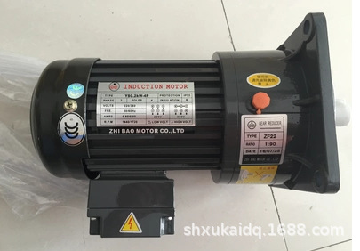 YS0.2KW-4P 1:40 ZL22 减速电机ZHIBAO MOTOR电机