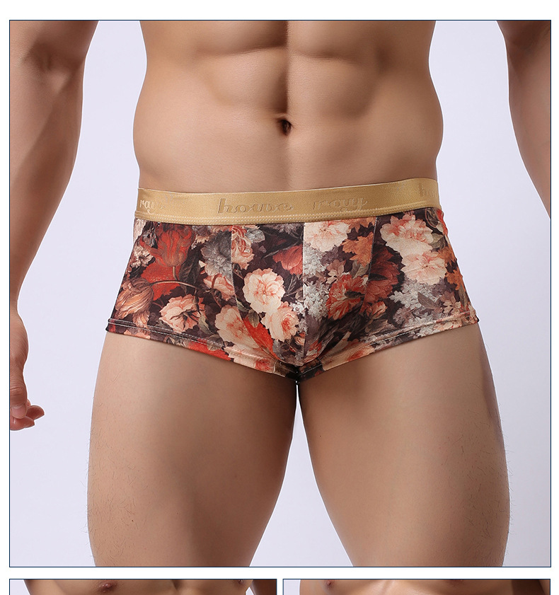 Wallflower Color Variation