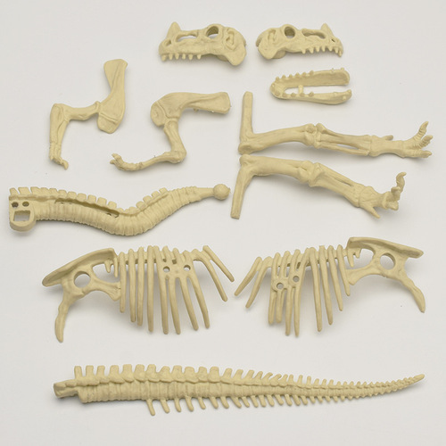 Digging dinosaur DIY assembled skeleton simulation dinosaur toy model Dinosaur fossil archaeological excavation toy set