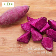 新鲜紫薯 农家自产紫薯 供应出口级脱水紫薯 黄心黄壤地瓜批发