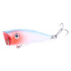 2 Pcs Popper Fishing Lures Hard Baits Bass Trout Fresh Water Fishing Lure