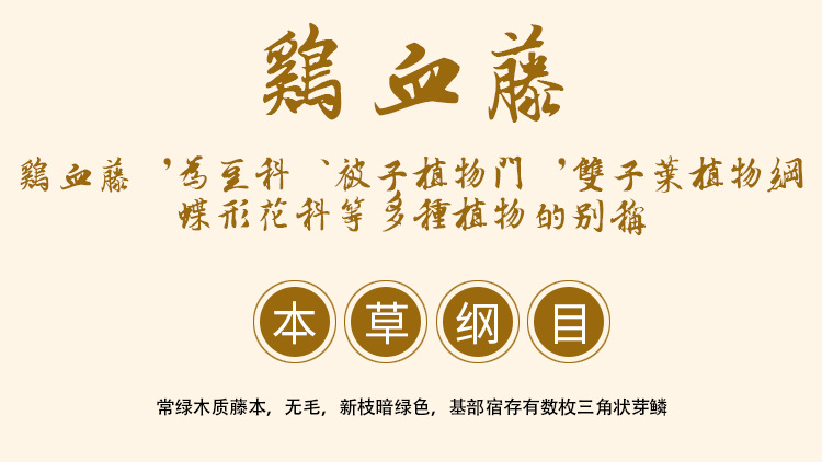 Ji Xue Teng Slices (Spatholobus suberectus) — Dried Blood-Vine Stem for Herbal Tea & Soup overview