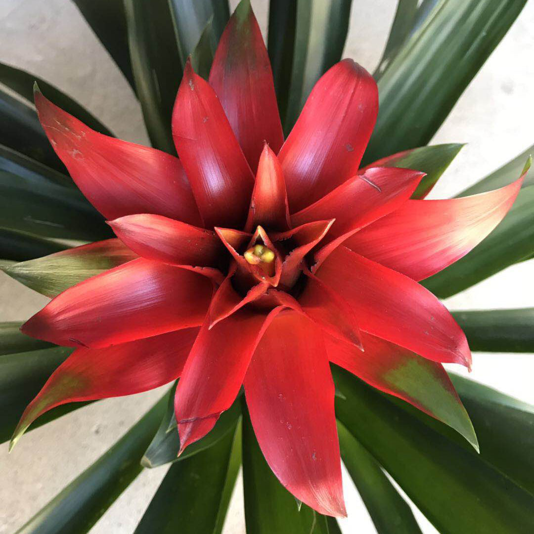 微信图片_20181218140250