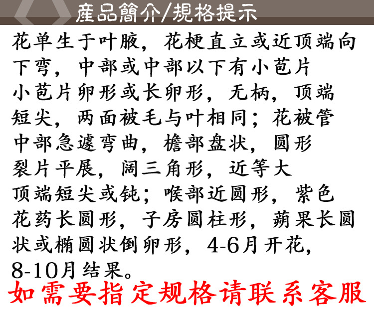 Xun Gu Feng (Aristolochia mollissima) — Dried Food-Herb Botanical for Traditional Decoctions quality and texture