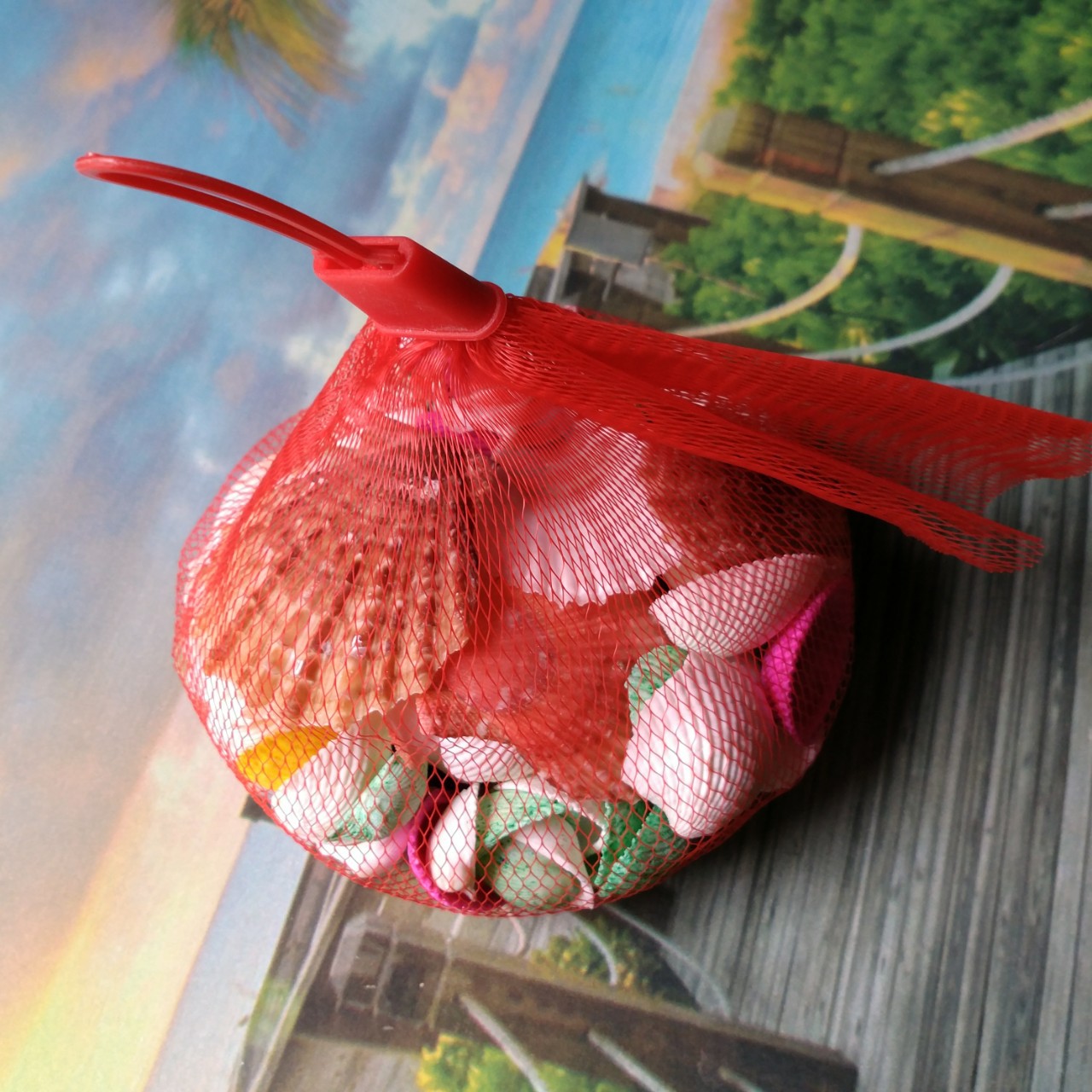 供应两元超市畅销商品天然贝壳网袋贝壳