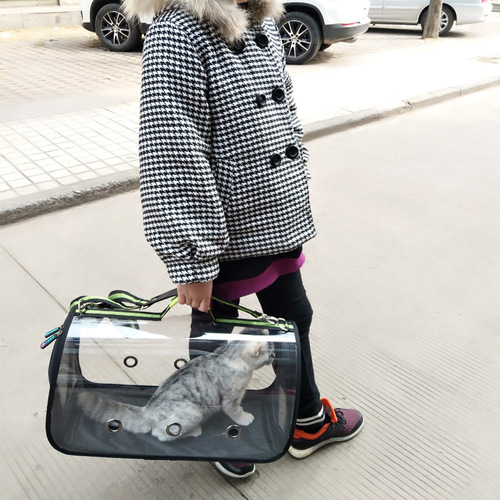 Multifunctional transparent pet bag for cats and dogs, portable backpack for outdoor use, single shoulder foldable cat bag and dog bag
