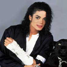 Michael Jackson~ˠܿdٰl1̨ݼٰlLl