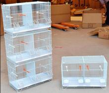 ���H�B�\ �W�^�\ ��ɫȺ�B�\ ��ֳ�\ ���g���_�F�\ �ɯB�ӳ�4��