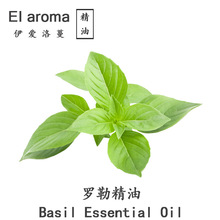 意大利 罗勒精油 Basil 甜罗勒 沉香醇罗勒单方精油10ML