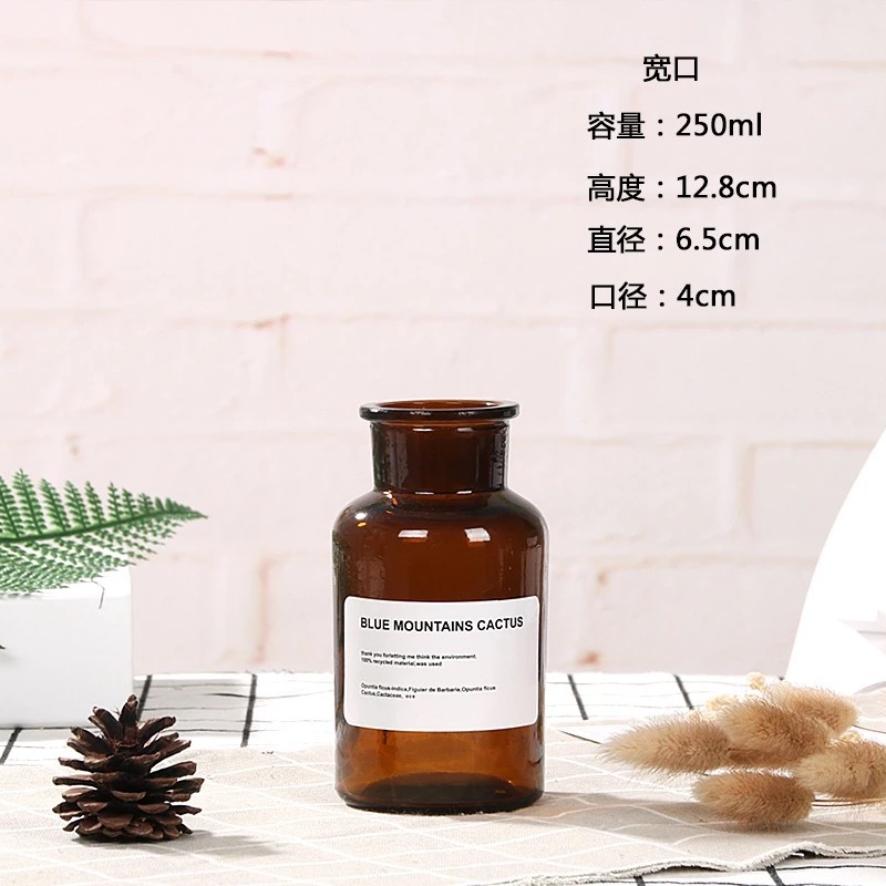 Botella de deseos luminosa botella de vidrio creativa qixi amante graduación regalo Navidad LED deriva botella estrella