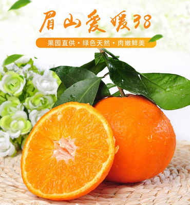 眉山正宗爱媛38号果冻橙 橘子 桔子 手剥橙5斤 8斤10斤试吃代发|ms