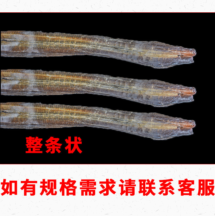 Guang Di Long (Pheretima aspergillum) — Dried Earthworm Herb, Whole-Open Cut, 500g key features