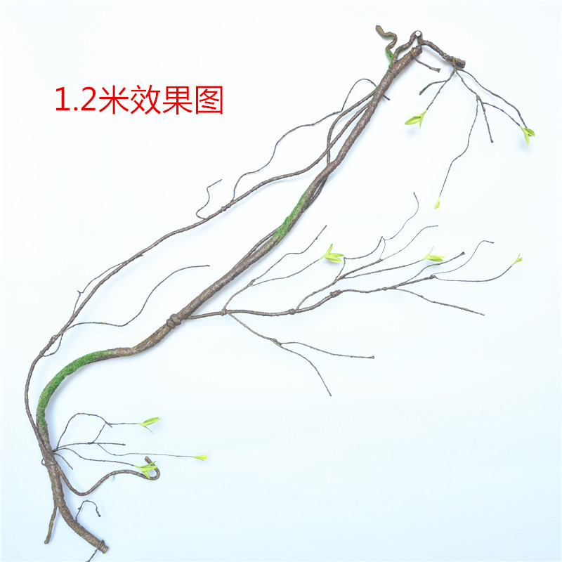 详情图