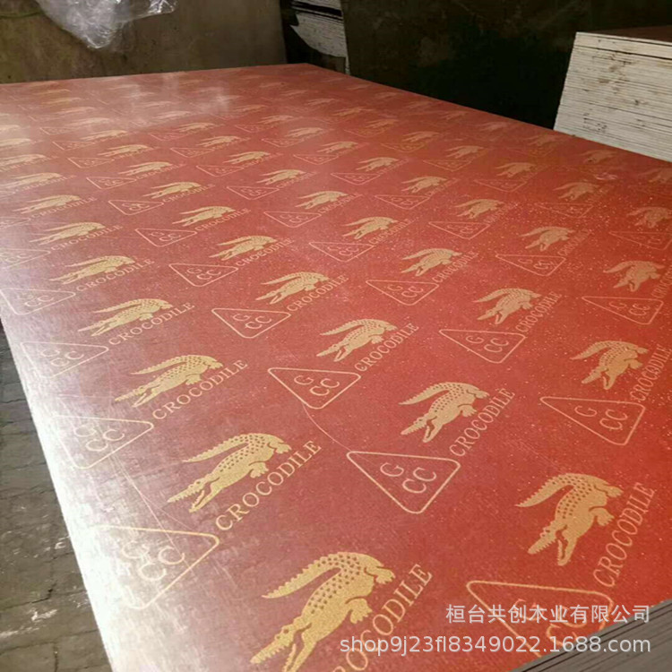 544886980515147175_副本