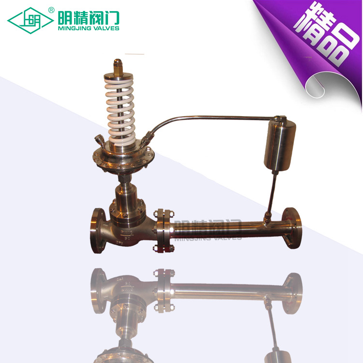 蒸汽型阀后自力式控制阀 蒸汽型阀后自力式调节阀 自力压力调节阀