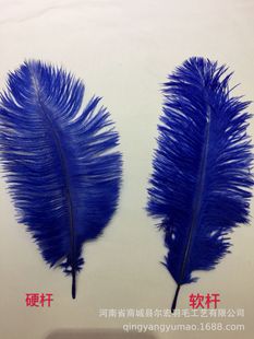 �Ƶꙻ����c��ë �b��r�Bë���l20-25CMܛ�U�����b��