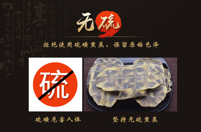 Gui Ban (Plastrum Testudinis) — Dried Turtle Shell Pieces, Whole 500g, Zhejiang Origin specifications
