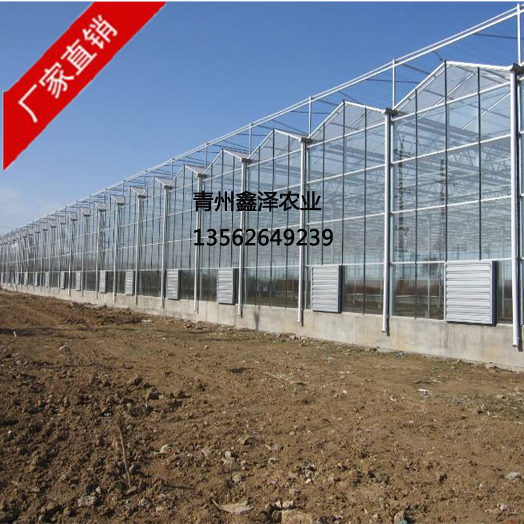玻璃温室大棚厂家供应智能玻璃温室大棚多肉温室大棚生态餐厅大棚
