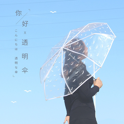 Umbrella transparent umbrella folding umbrella fully automatic umbrella Korean transparent umbrella small fresh girl multi-color sunny umbrella student umbrella