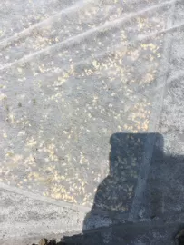 工农业塑料;工业橡胶;其他无纺布