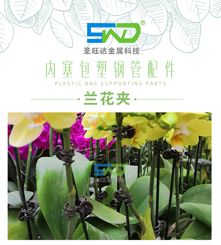 兰花夹_01.jpg