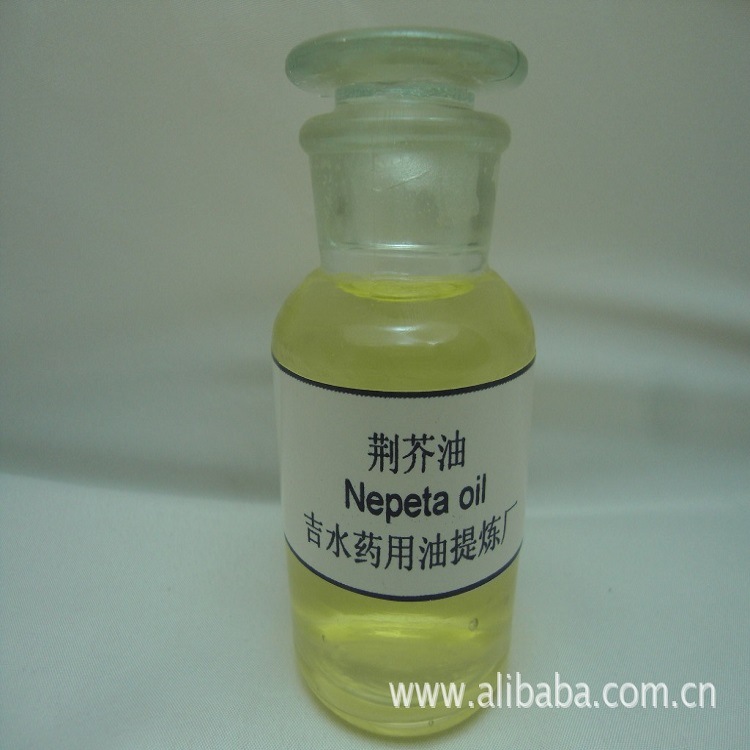 Manufactor supply Wholesale and retail Extraction of medicinal herbs Nepeta oil Stable supply Essential oils