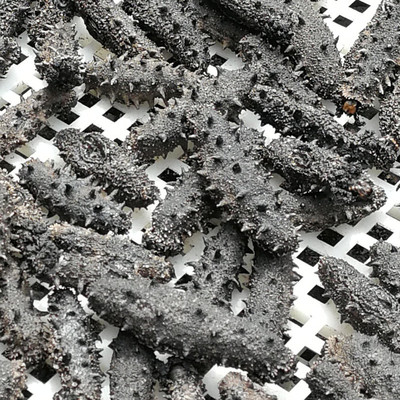 大连淡干海参好品质辽刺参110-150头一件代发批发供货500g净重|ms