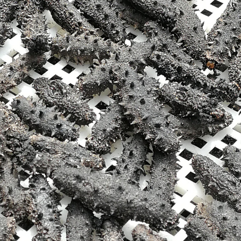 大连淡干海参好品质辽刺参110-150头一件代发批发供货500g净重|ms