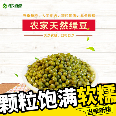 绿豆 小绿豆 批发农家当季笨绿豆新货 五谷杂粮消暑必备绿豆糕汤|ms