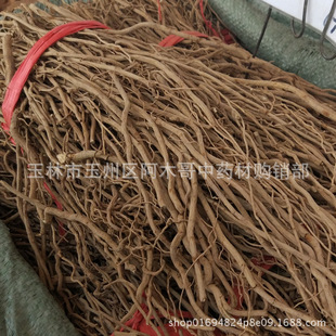 ţϥ ��ș�� ���۲� ţ����S ���h�� ţϥ�^ ��ţ�� ȫ���l