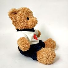 定制 毛絨玩具企業吉祥物 卡通穿衣服泰迪熊公仔定制 25cm坐姿