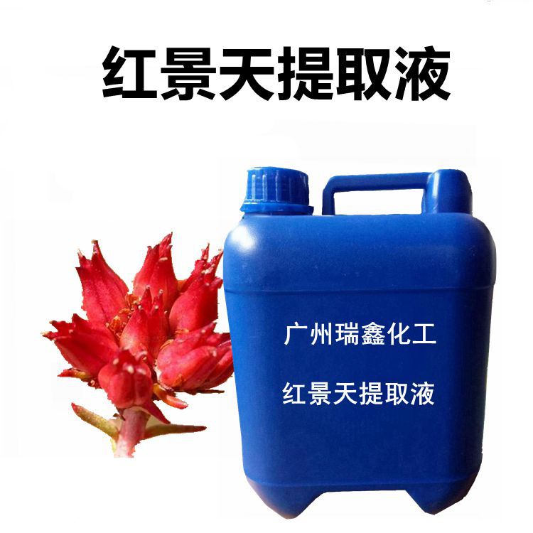 批发 国产 藏红景天萃取液 藏红景天提取液1KG起订